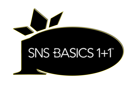 category-snsbasic.png