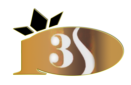 3S
