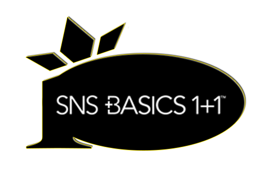 category-snsbasic.png